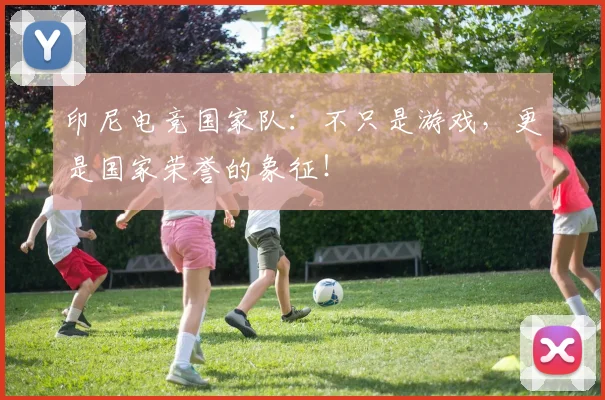 印尼电竞国家队：不只是游戏，更是国家荣誉的象征！