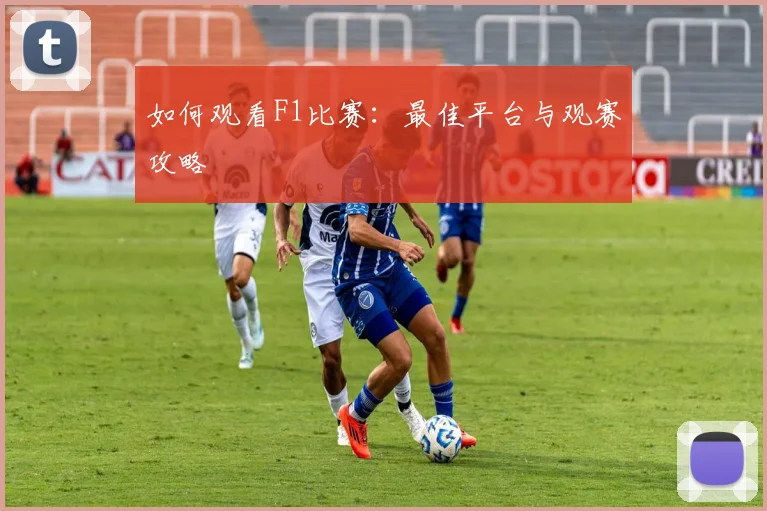 如何观看F1比赛：最佳平台与观赛攻略