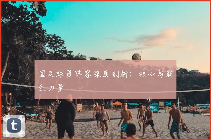 国足球员阵容深度剖析：核心与新生力量