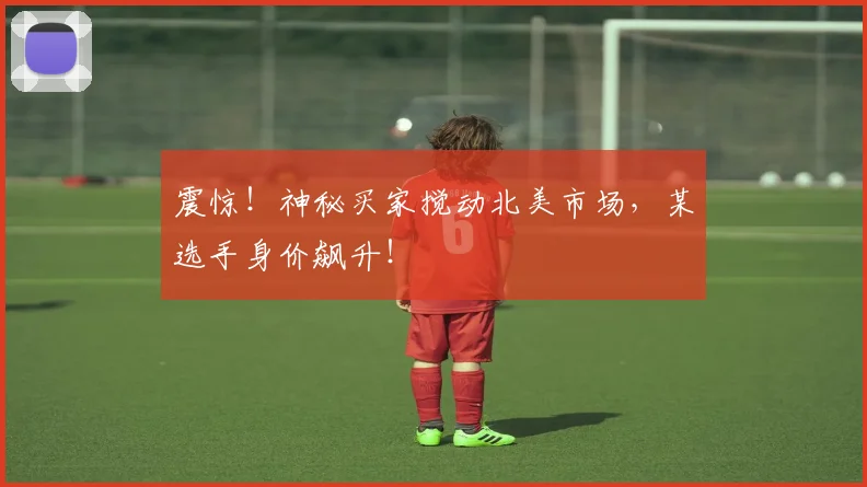 震惊！神秘买家搅动北美市场，某选手身价飙升！