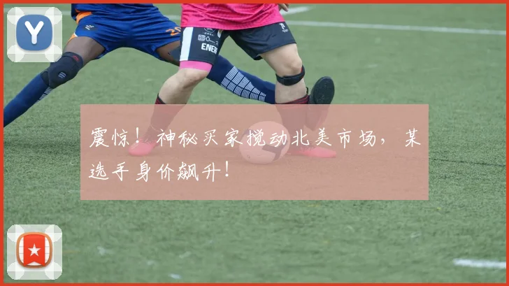 震惊！神秘买家搅动北美市场，某选手身价飙升！