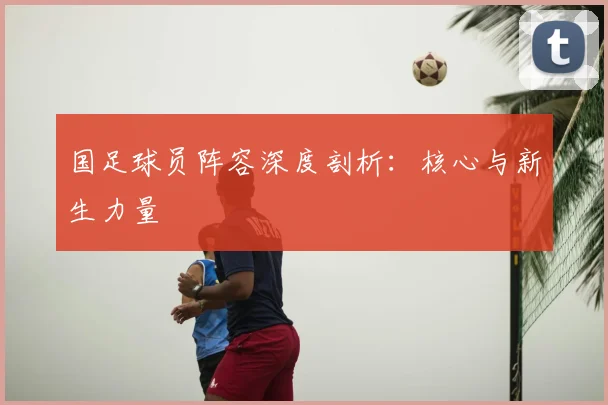 国足球员阵容深度剖析:核心与新生力量